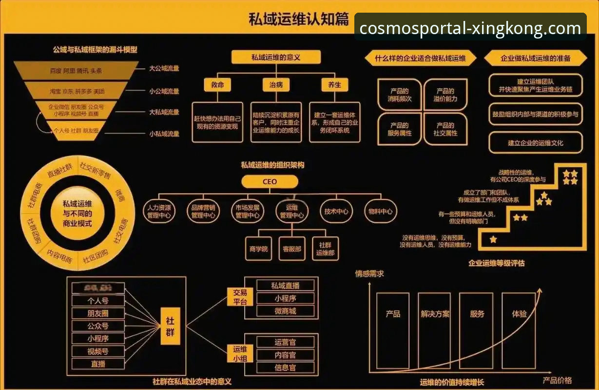 星空入口平台深度解析：安全便捷背后的技术架构与市场策略
