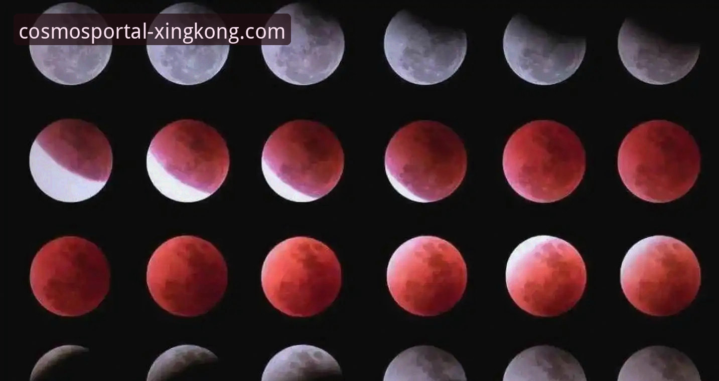 星空入口平台：2026星空中国官网入口全面评测与前瞻探索