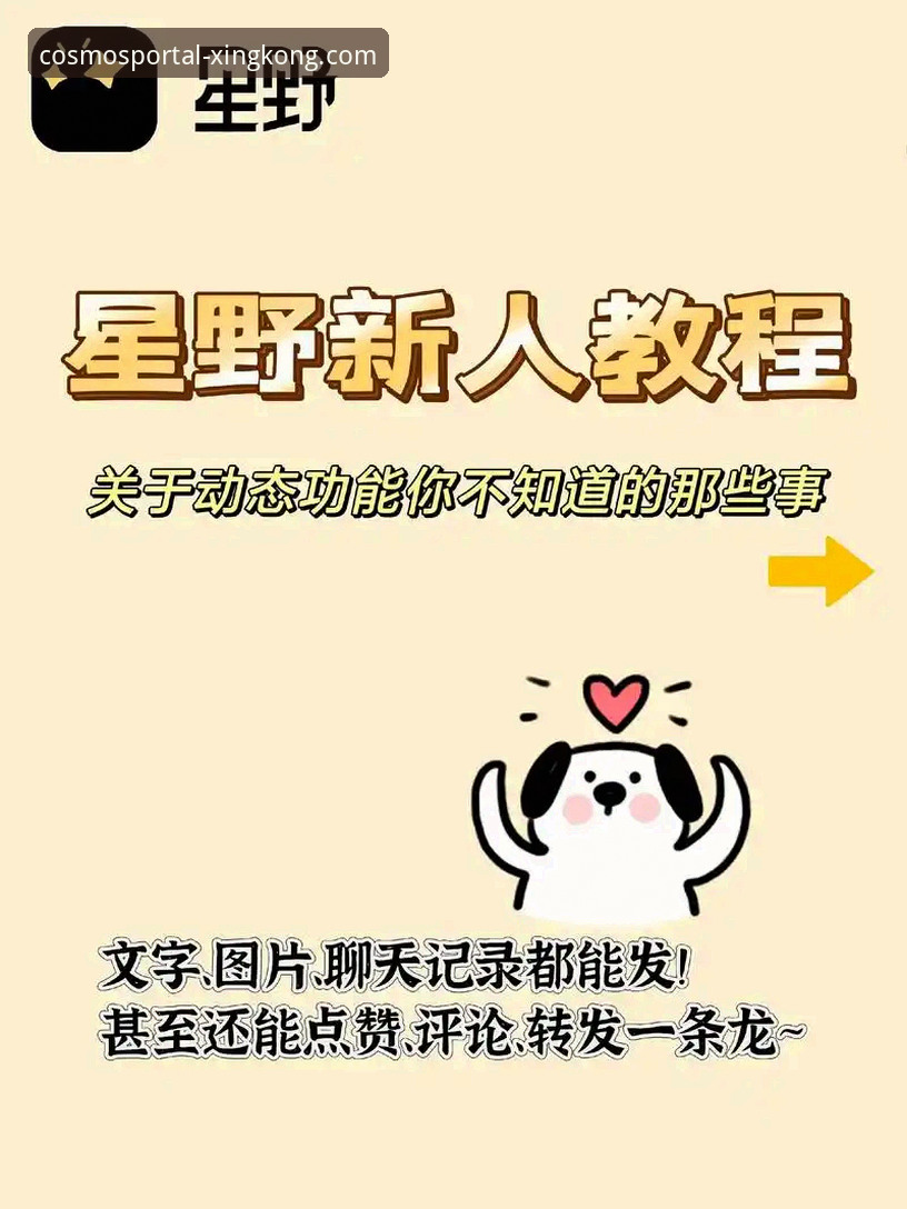 如何通过星空入口平台，实现安全高效的星空中国官方网站登录？